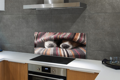 Panel Kuchenny Szklany Słodki Sen Zmęczonych Psów