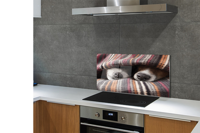 Panel Kuchenny Szklany Słodki Sen Zmęczonych Psów