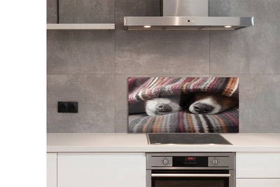 Panel Kuchenny Szklany Słodki Sen Zmęczonych Psów