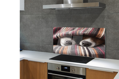 Panel Kuchenny Szklany Słodki Sen Zmęczonych Psów