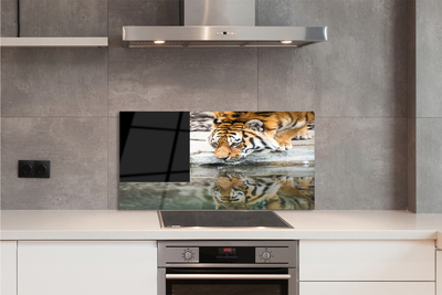 Szklany Panel Tygrys Pijący ze Strumienia