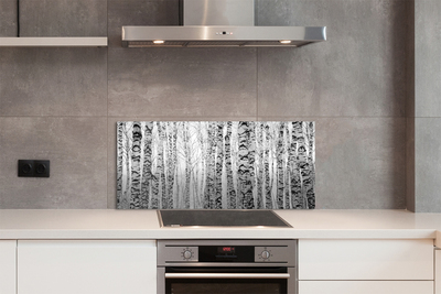 Szklany Panel Brzozy w Kontraście Czerni i Bieli