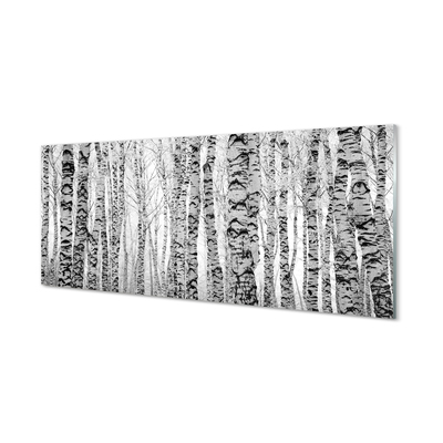 Szklany Panel Brzozy w Kontraście Czerni i Bieli