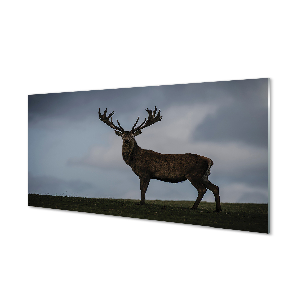 Panel nad Blat Kuchenny Jeleń w Nocnej Scenerii