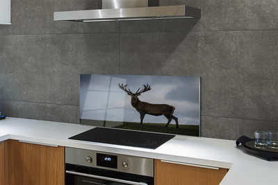 Panel nad Blat Kuchenny Jeleń w Nocnej Scenerii