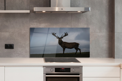 Panel nad Blat Kuchenny Jeleń w Nocnej Scenerii