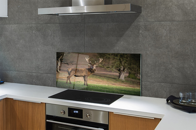 Panel nad Blat Kuchenny Spokój Jelenia na Polanie