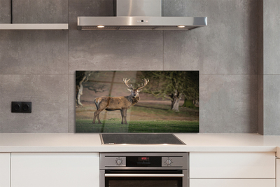 Panel nad Blat Kuchenny Spokój Jelenia na Polanie