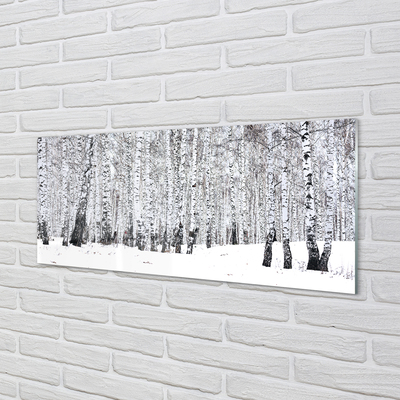 Szklany Panel Drzewa zima śnieg brzozy