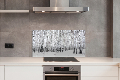 Szklany Panel Zimowy Las Brzozowy