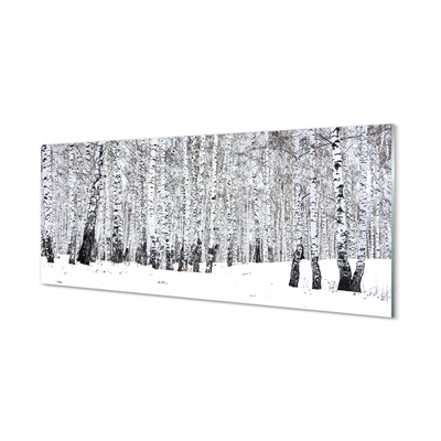 Szklany Panel Drzewa zima śnieg brzozy