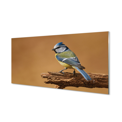 Panel Szklany Artystyczny Portret Ptaka