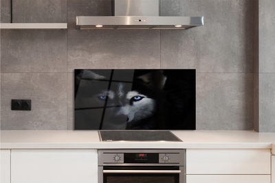 Panel Szklany Spojrzenie Dzikiego Wilka