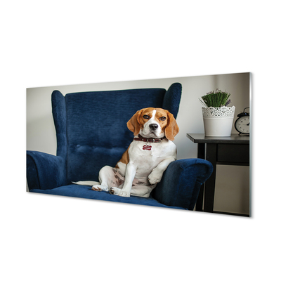 Szklany Panel Siedzący pies