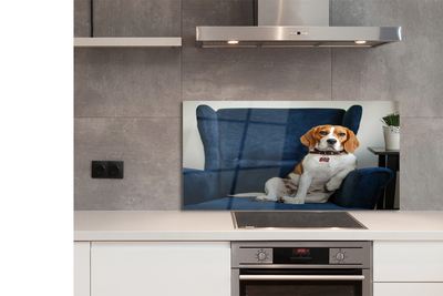 Panel Kuchenny Szklany Spokojny Siedzący Pupil