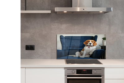 Panel Kuchenny Szklany Spokojny Siedzący Pupil