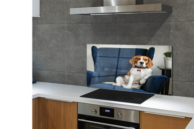 Panel Kuchenny Szklany Spokojny Siedzący Pupil