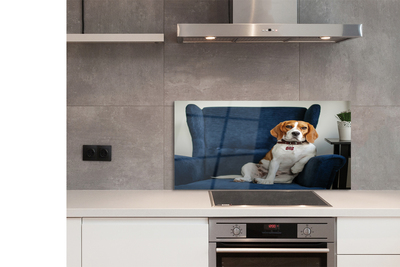 Panel Kuchenny Szklany Spokojny Siedzący Pupil