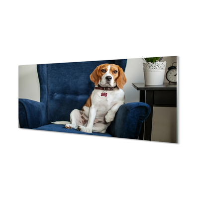 Szklany Panel Siedzący pies