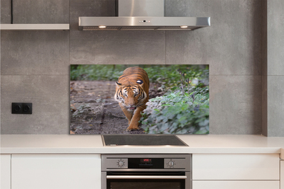 Szkło Ozdobne do Kuchni Tygrys w Cieniu Drzew