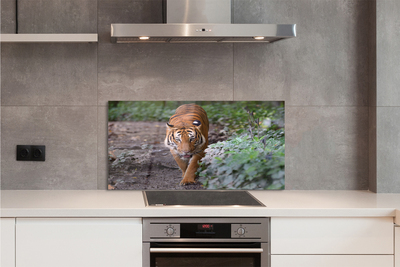 Szkło Ozdobne do Kuchni Tygrys w Cieniu Drzew