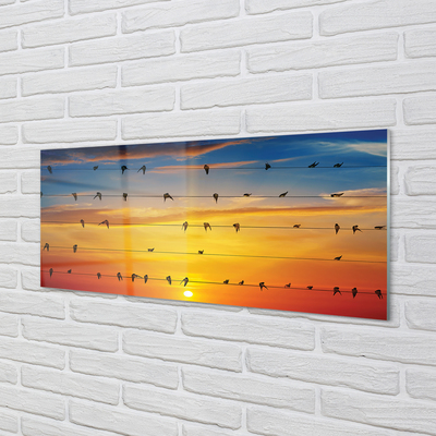 Panel Szklany Ptaki na linach zachód słońca