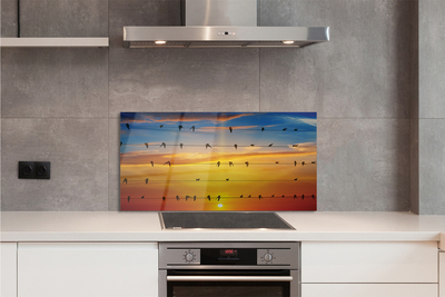 Panel Szklany Ptaki na Drutach o Zmierzchu