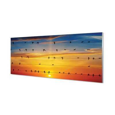 Panel Szklany Ptaki na linach zachód słońca