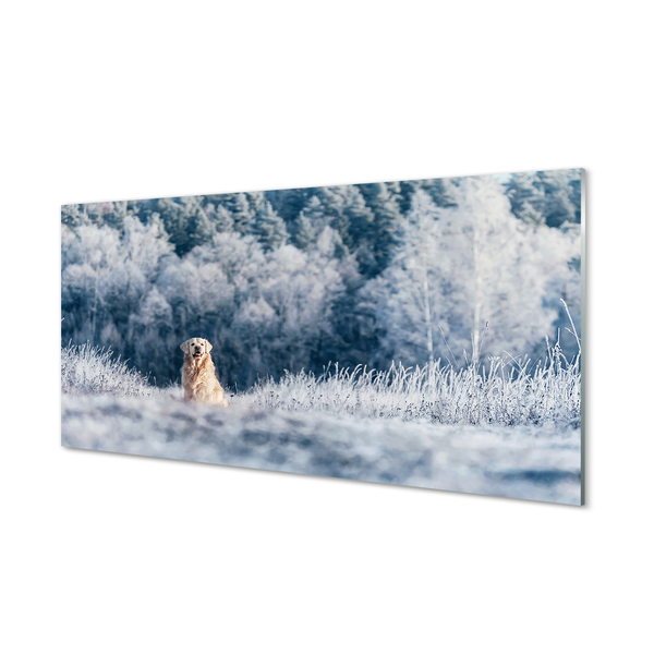 Szklany Panel Pies góry zima