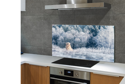 Szklany Panel Pies w Zimowych Górach