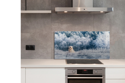 Szklany Panel Pies w Zimowych Górach