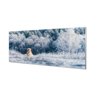 Szklany Panel Pies góry zima