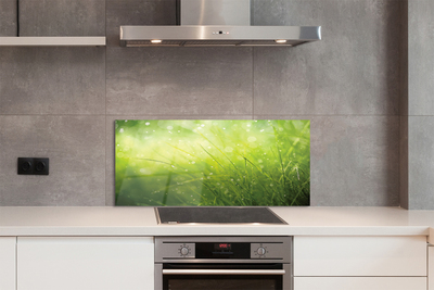 Szklany Panel Świeżość Rosy na Trawie