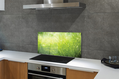 Szklany Panel Świeżość Rosy na Trawie