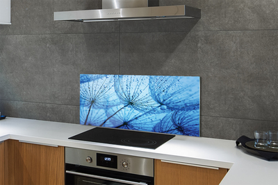 Panel szklany do Kuchni Puszyste Dmuchawce z Rosą