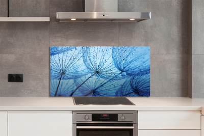 Panel szklany do Kuchni Puszyste Dmuchawce z Rosą