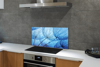 Panel szklany do Kuchni Puszyste Dmuchawce z Rosą