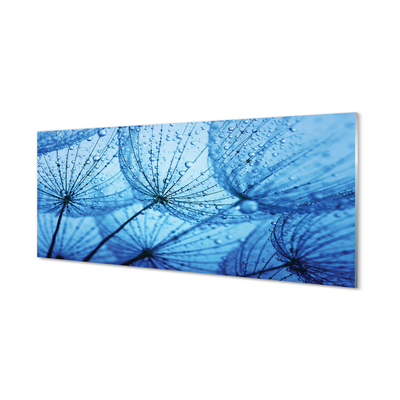 Panel szklany do Kuchni Puszyste Dmuchawce z Rosą