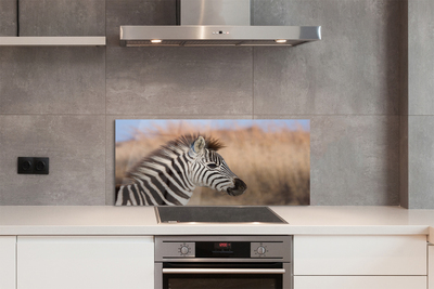 Panel szklany do Kuchni Spojrzenie Dzikiej Zebry