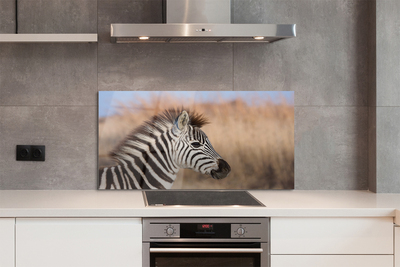Panel szklany do Kuchni Spojrzenie Dzikiej Zebry