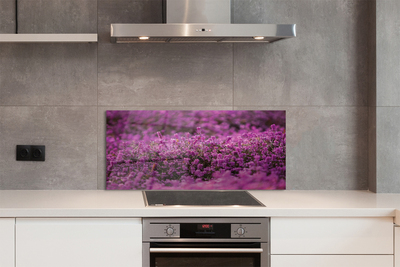 Panel Kuchenny Szklany Malownicze Wrzosowisko