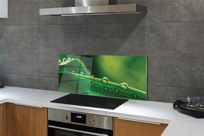 Panel szklany do Kuchni Źdźbło Trawy z Kroplą Rosy