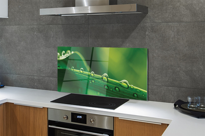 Panel szklany do Kuchni Źdźbło Trawy z Kroplą Rosy