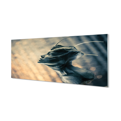 Szklany Panel Zarys Głowy Postaci