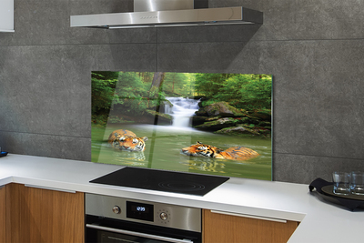 Szklany Panel Tygrysy przy Wodospadzie