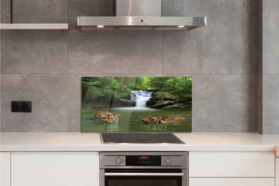 Szklany Panel Tygrysy przy Wodospadzie