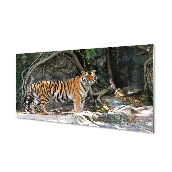 Szklany Panel Dżungla tygrys