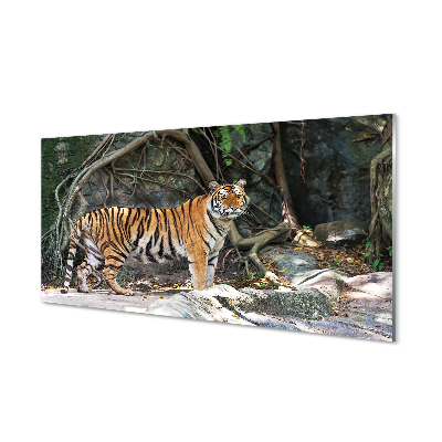 Szklany Panel Dżungla tygrys