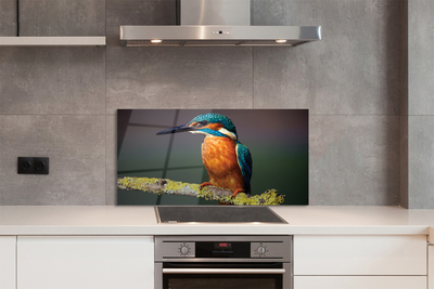 Panel szklany do Kuchni Mały Egzotyczny Ptak