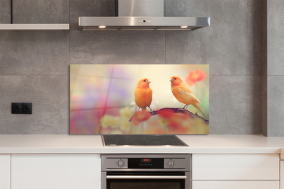 Panel szklany do Kuchni Rodzina Kolorowych Papug